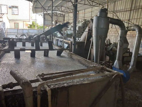 7月1日嚴控污染 關停不合格塑料企業(yè)，刑拘7人，32家廢塑料加工廠面臨排污許可證危機